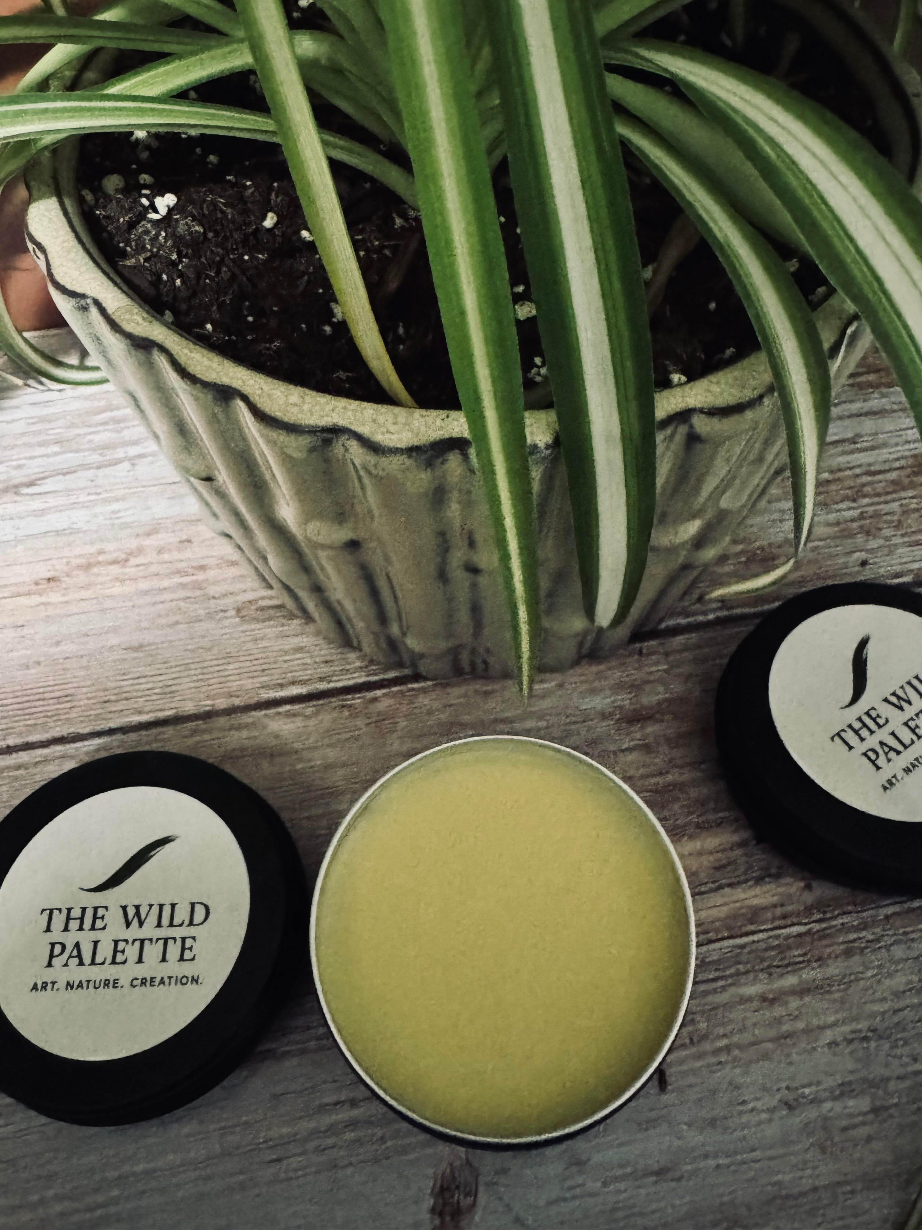 Handmade Black Coral & Moss Beard Balm