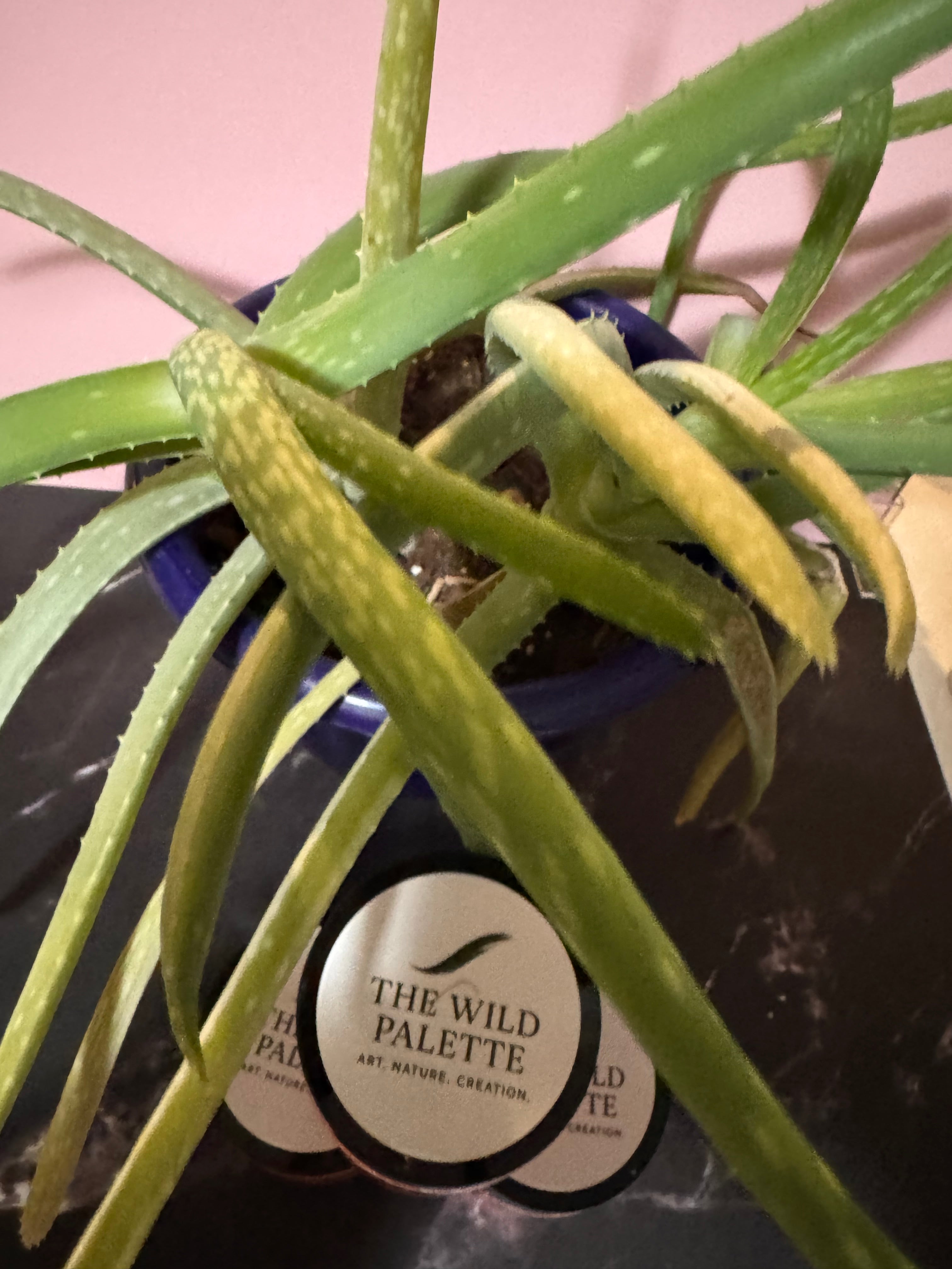 Handmade Raspberry Mojito Sugar Scrub