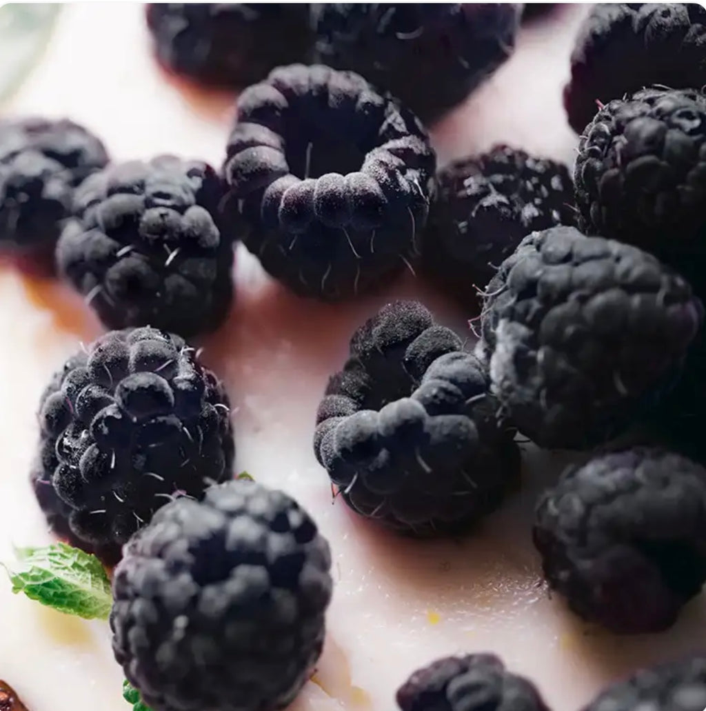 Handmade Whipped Sugar Scrub - Black Raspberry Vanilla