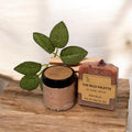 Whipped Handmade Sugar Scrub-Moroccan Nights